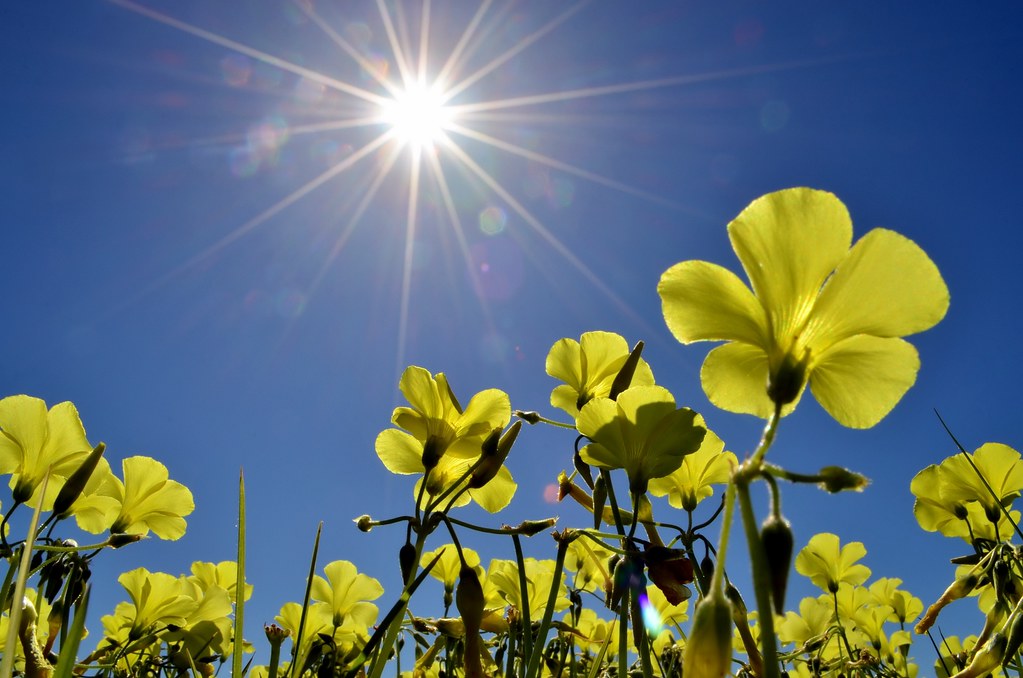 Spring clean your energy too