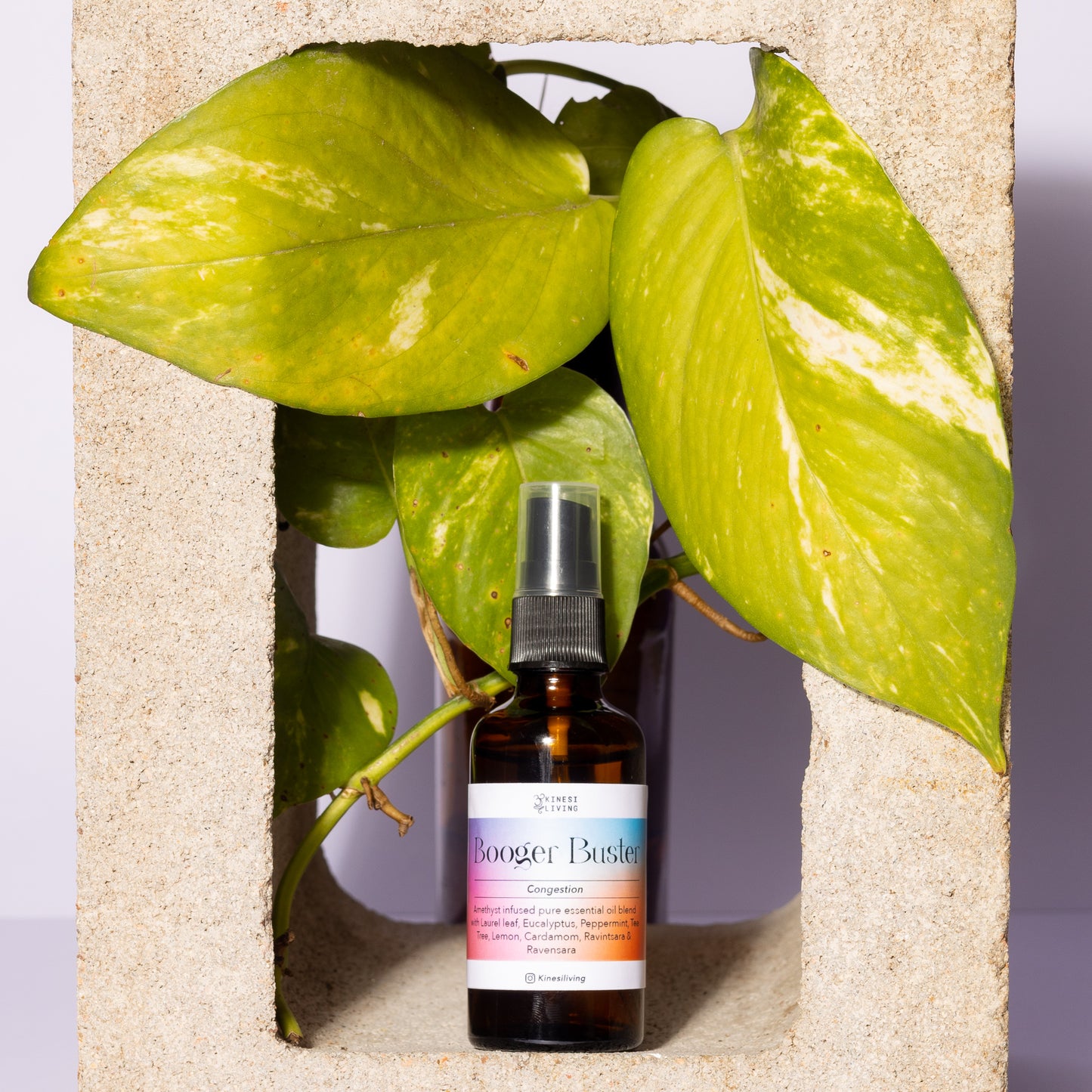 Booger Buster essential oil collection showing 10ml roller and 50ml spray - complete natural congestion respiratory support system Australia