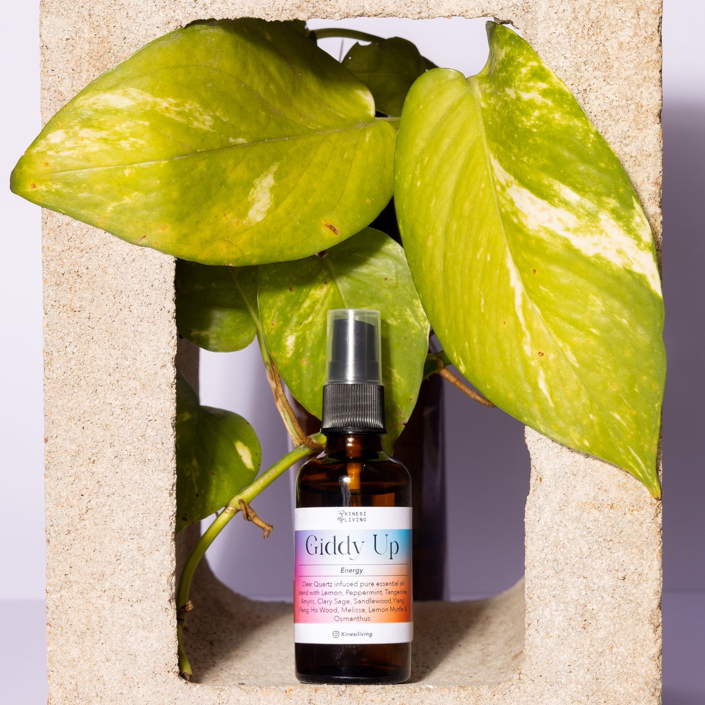 Giddy Up focus essential oil collection showing 10ml roller and 50ml spray - natural mental clarity concentration support Australia Clear Quartz infused