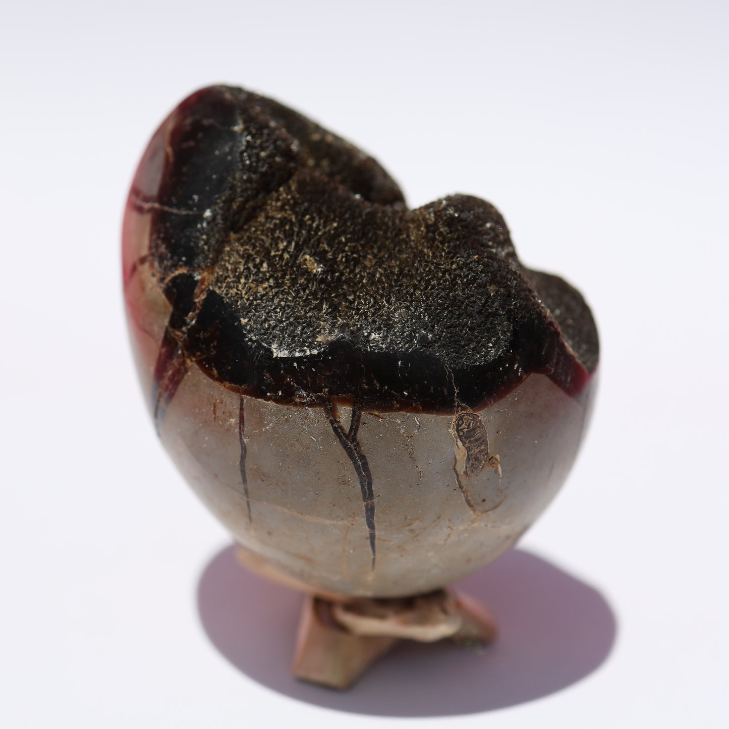 Natural Septarian Geode Quartz Gemstone Egg