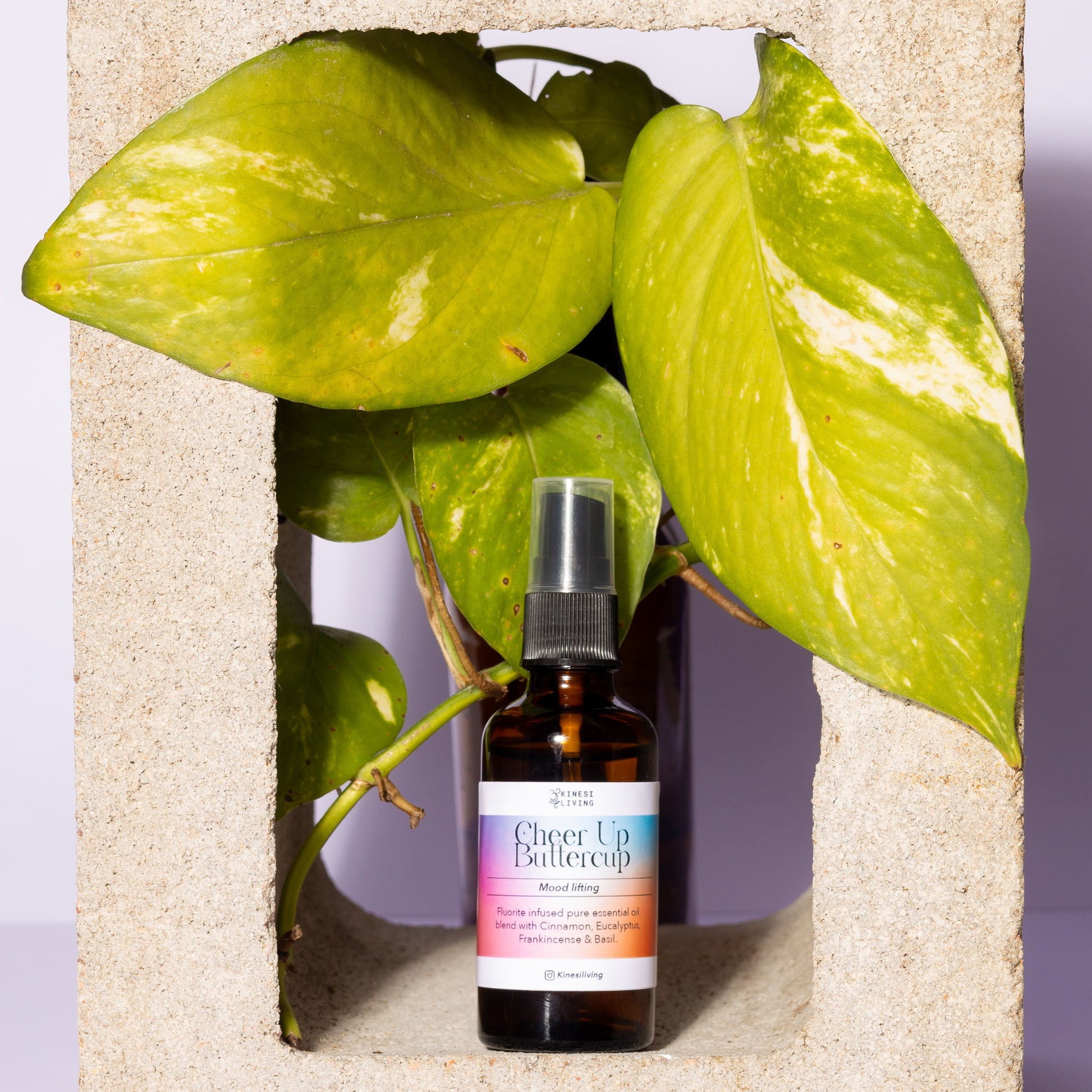 Cheer Up Buttercup essential oil Spray 50ml Fluorite infused - natural mood support emotional wellness Australia uplifting aromatherapy