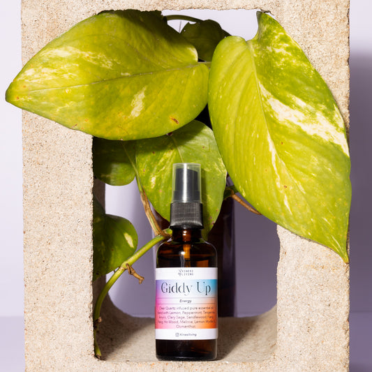 Giddy Up focus essential oil collection showing 10ml roller and 50ml spray - natural mental clarity concentration support Australia Clear Quartz infused