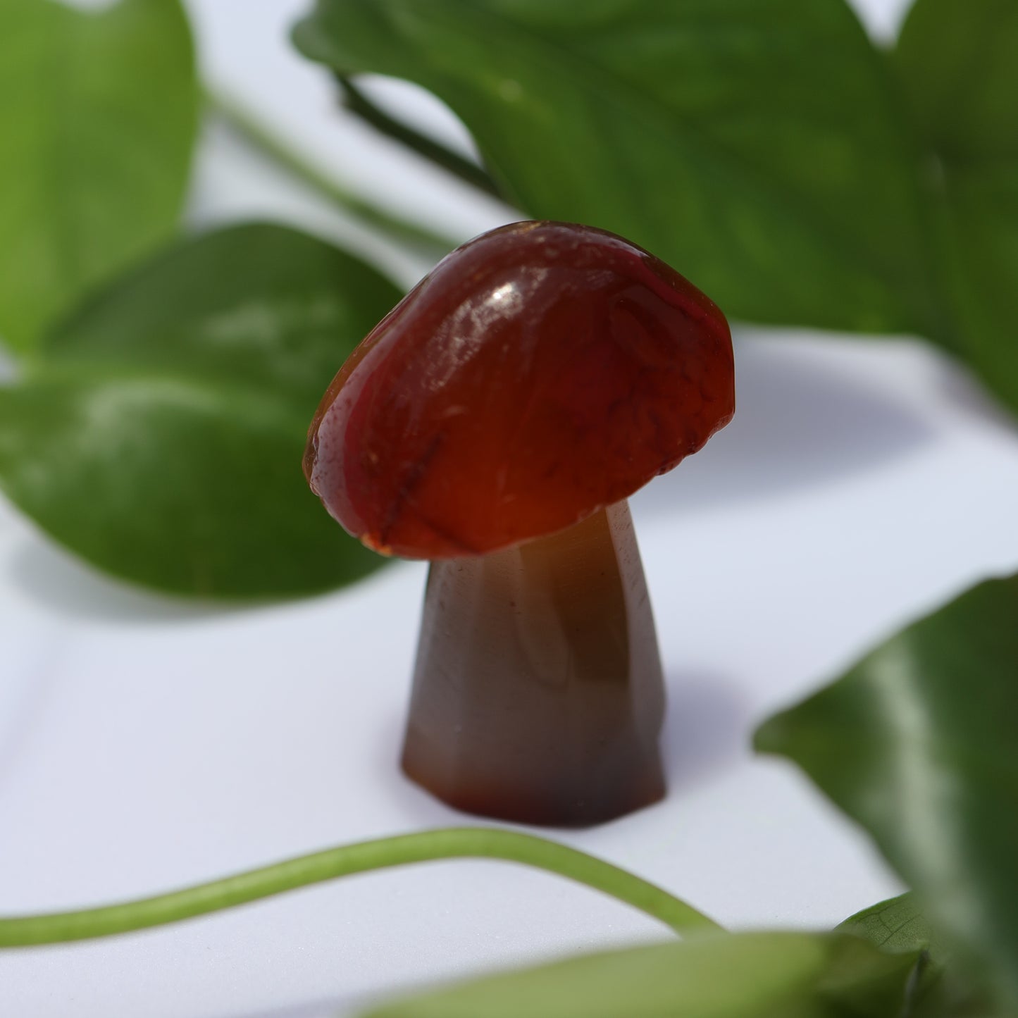 Carnelian mushroom healing crystal