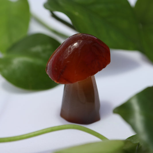 Carnelian mushroom healing crystal