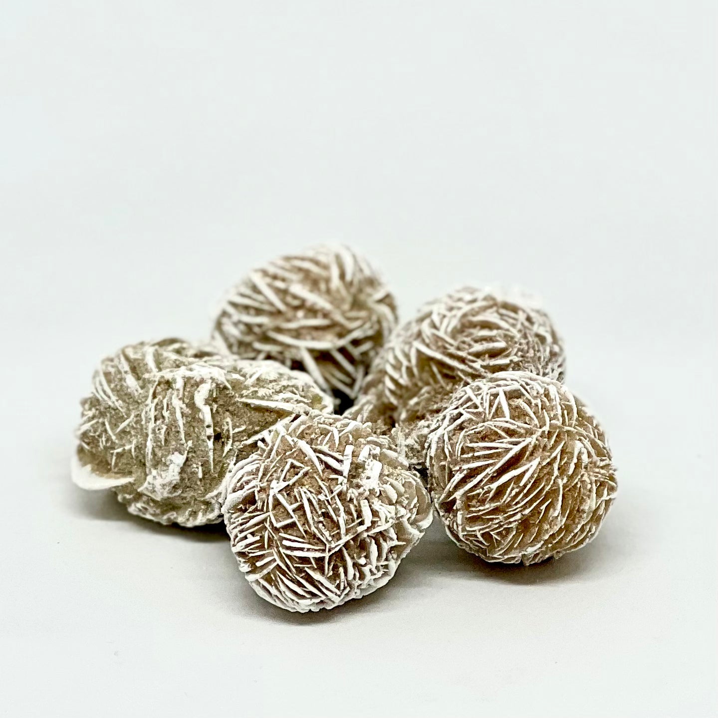 Desert Rose