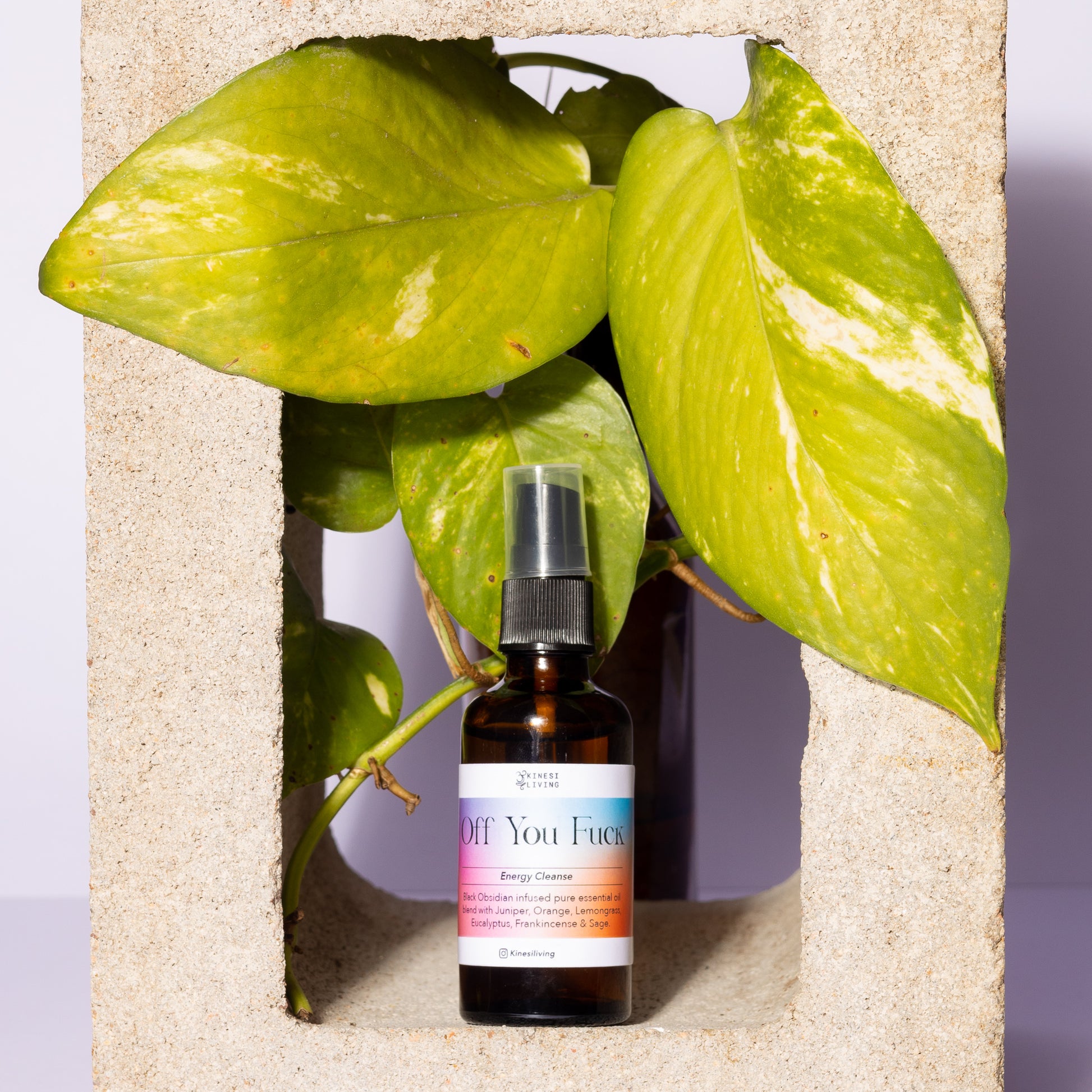 Off You Fuck 50ml spray - Toxic energy cleansing Black Obsidian blend Australia  